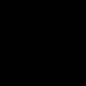 Meet your Posher, Ariana